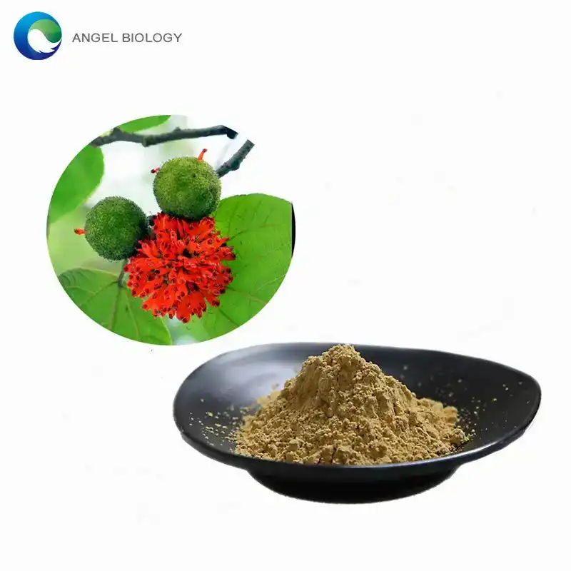Broussonetia Papyrifera Extract: Nature's Answer to Inflammation?